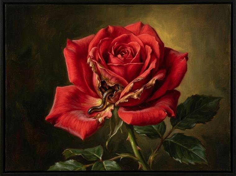 A rosa aparente e o verme consumindo seu interior